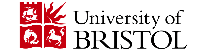 Logo 13