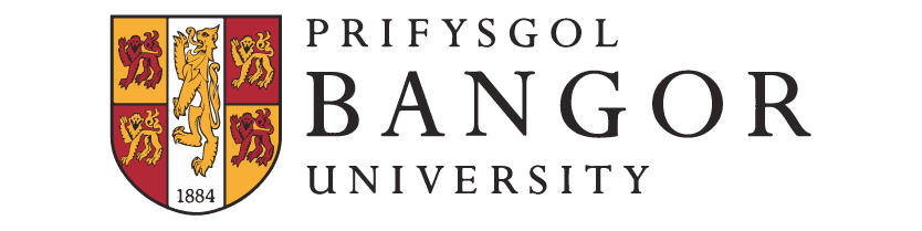 Logo 19