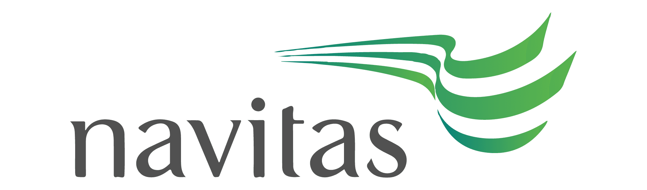 Logo 31